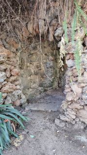 2024-01-GranCan-Jardin_de_la_Marquesa-017.jpg